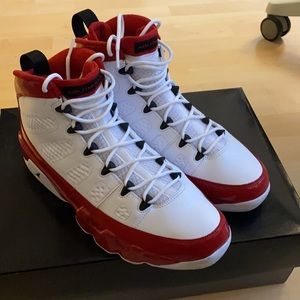 Air Jordan 9 retro